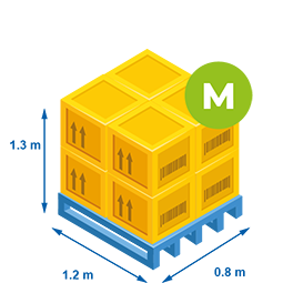 Transpal M